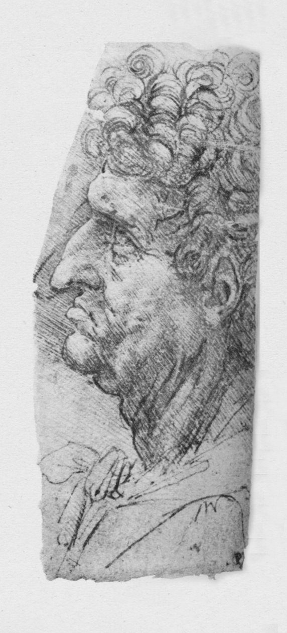 巻き毛のある老人の左側の横顔、c1480 1945 作： レオナルド・ダ・ヴィンチ
