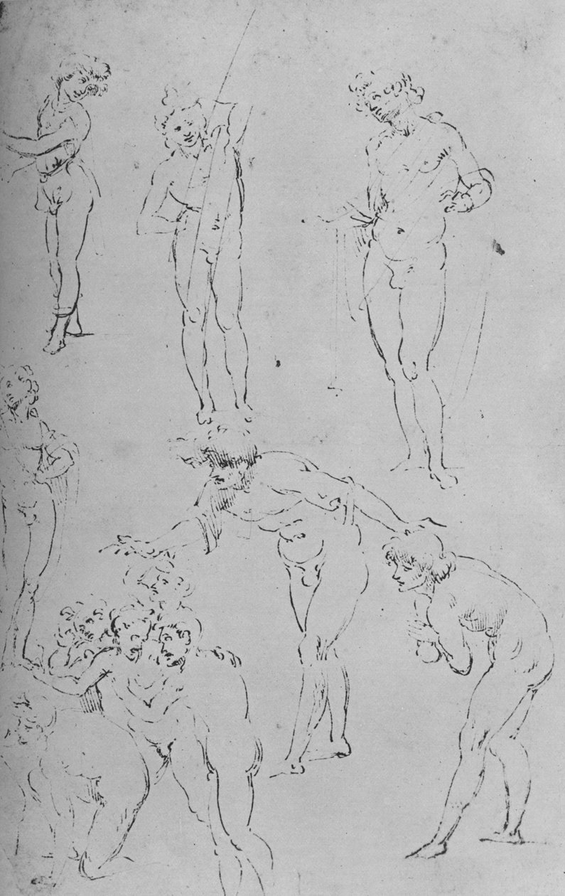 図と図のグループの研究、c1500 1945 作： レオナルド・ダ・ヴィンチ