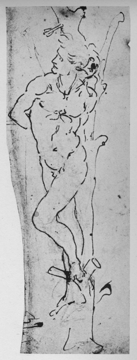 聖セバスチャンのための研究、c1480 1945 作： レオナルド・ダ・ヴィンチ