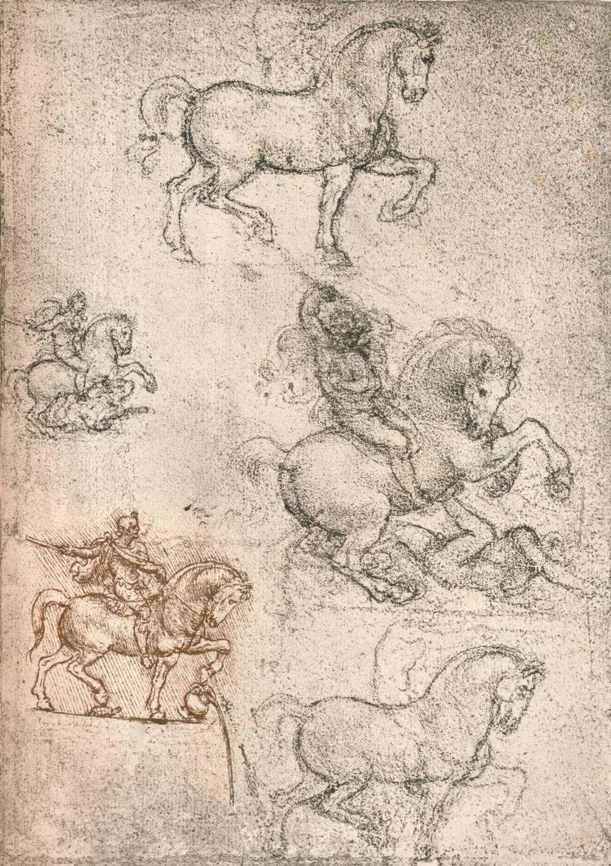 スフォルツァ記念碑の研究、c1482-c1499 1883 作： レオナルド・ダ・ヴィンチ