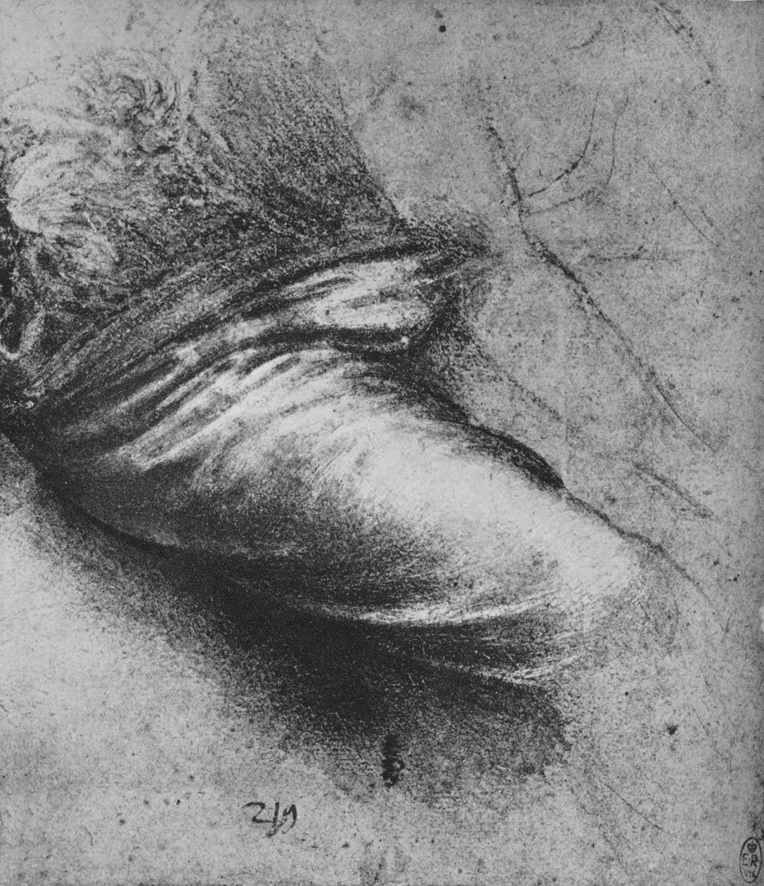 右に座った人物のカーテンの研究、c1480 1945 作： レオナルド・ダ・ヴィンチ