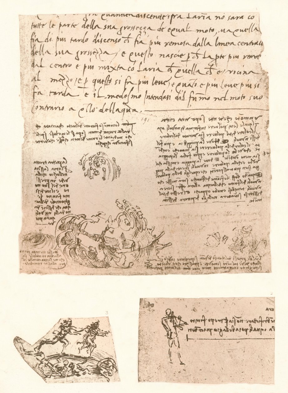 3つの図面、c1472-c1519 1883 作： レオナルド・ダ・ヴィンチ