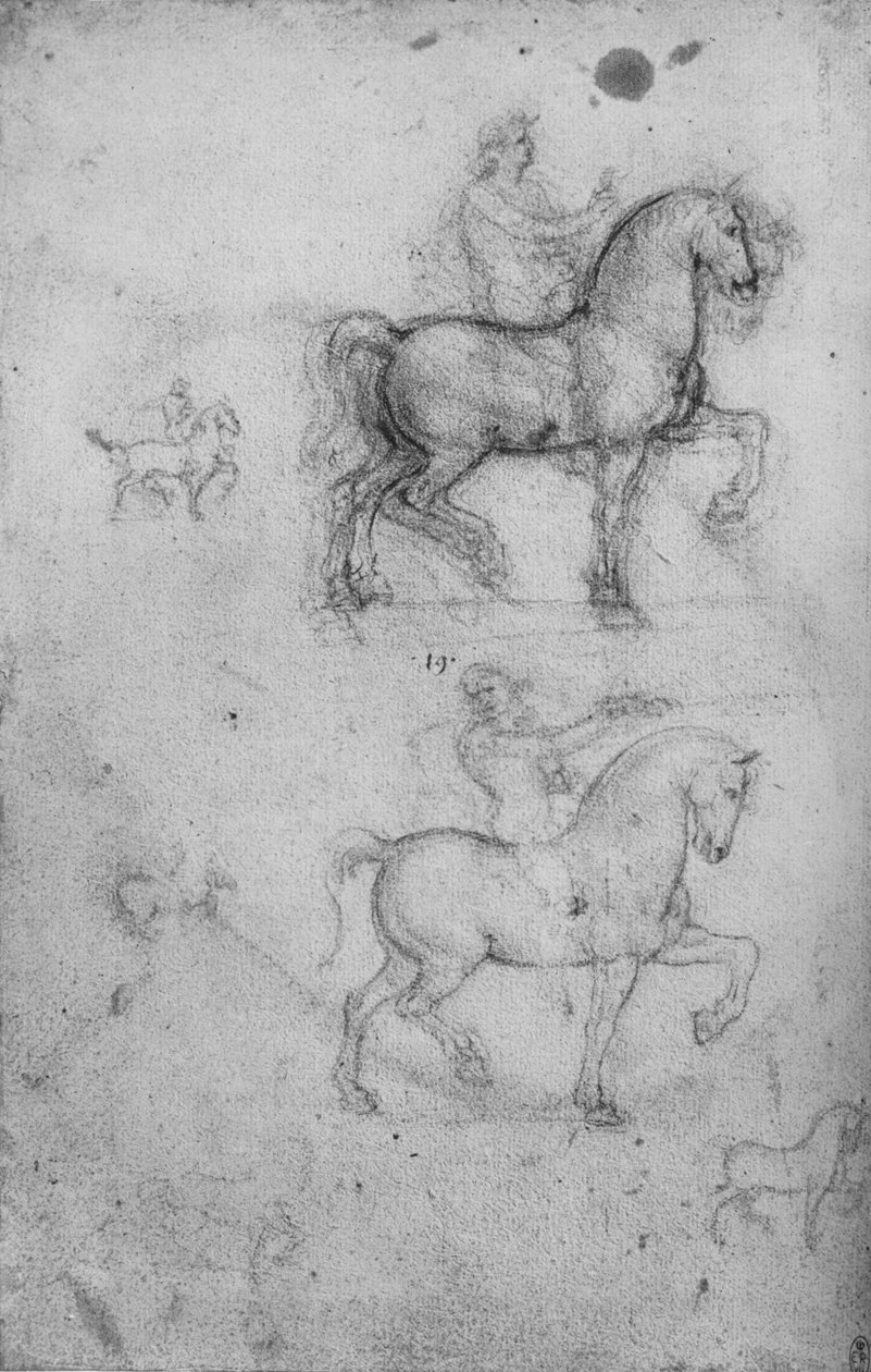 馬と乗馬に関する2つの研究と馬に関する小規模な研究、c1480 1945 作： レオナルド・ダ・ヴィンチ