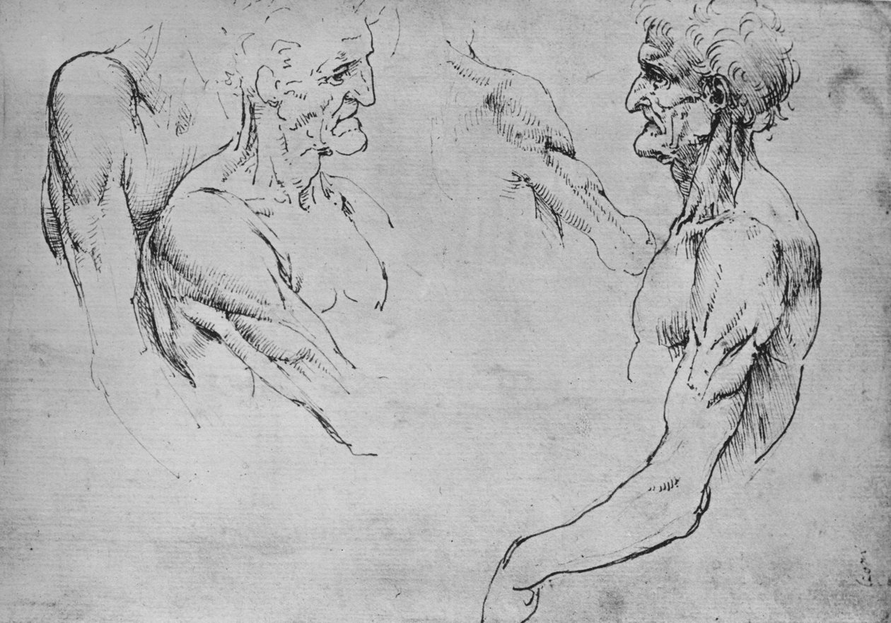 老人の上部の2つの研究と腕の2つの研究、c1480 1945 作： レオナルド・ダ・ヴィンチ