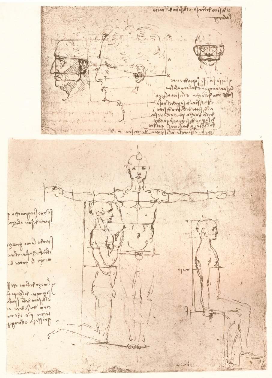 人物の比率の理論を説明する2つの図、c1472-c1519 1883。 作： レオナルド・ダ・ヴィンチ