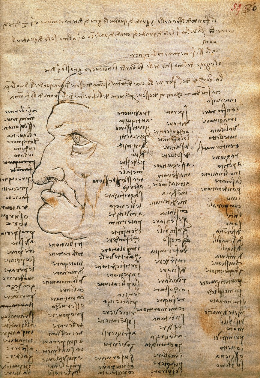 Lista de palavras e perfil masculino, do Codex Trivulzianus 作： レオナルド・ダ・ヴィンチ