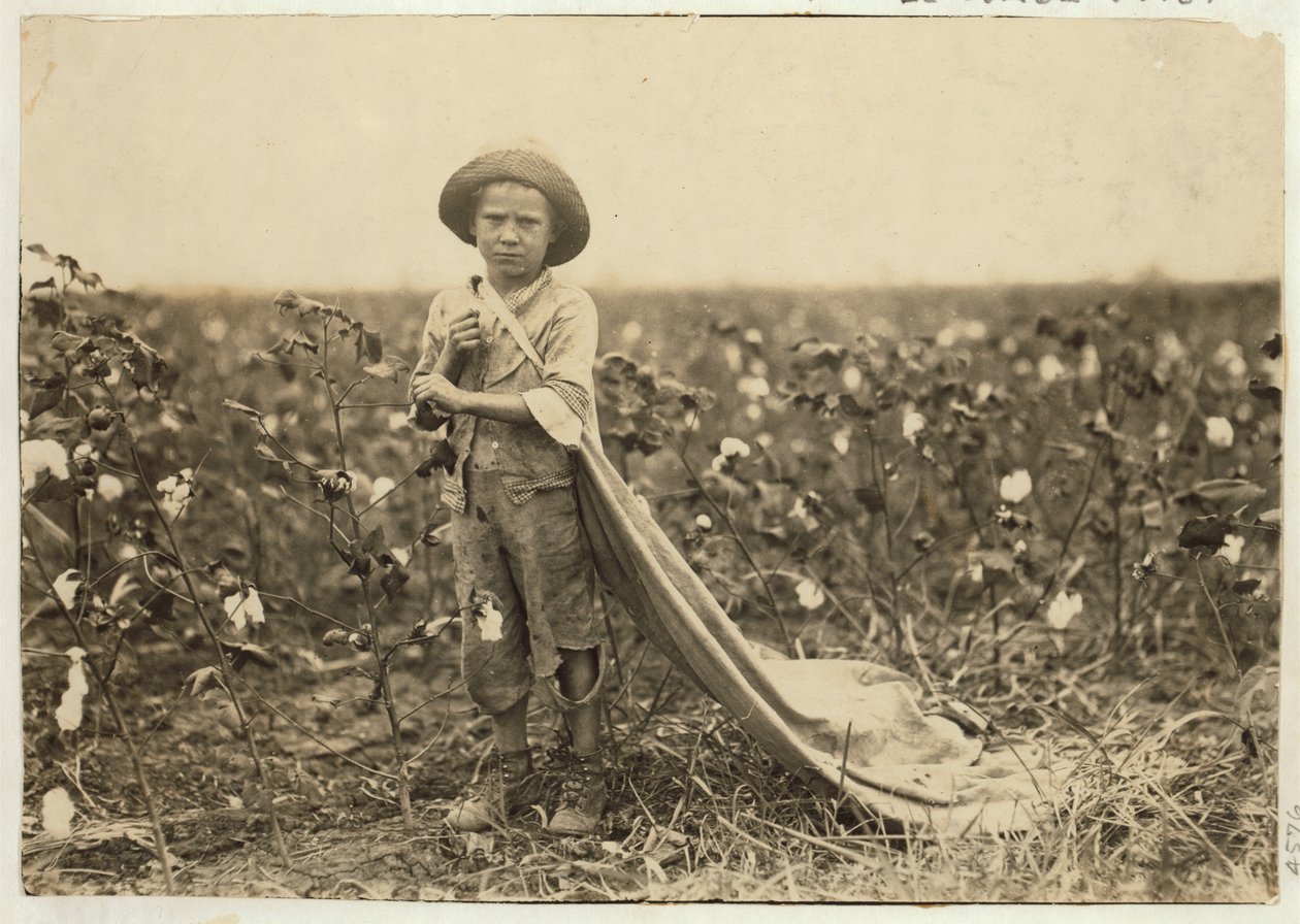 1916年、オクラホマ州のコマンチ郡で、約20ポンドの綿をバッグに入れた6歳のウォーレンフレークス 作： ルイス・ウィックス・ハイン