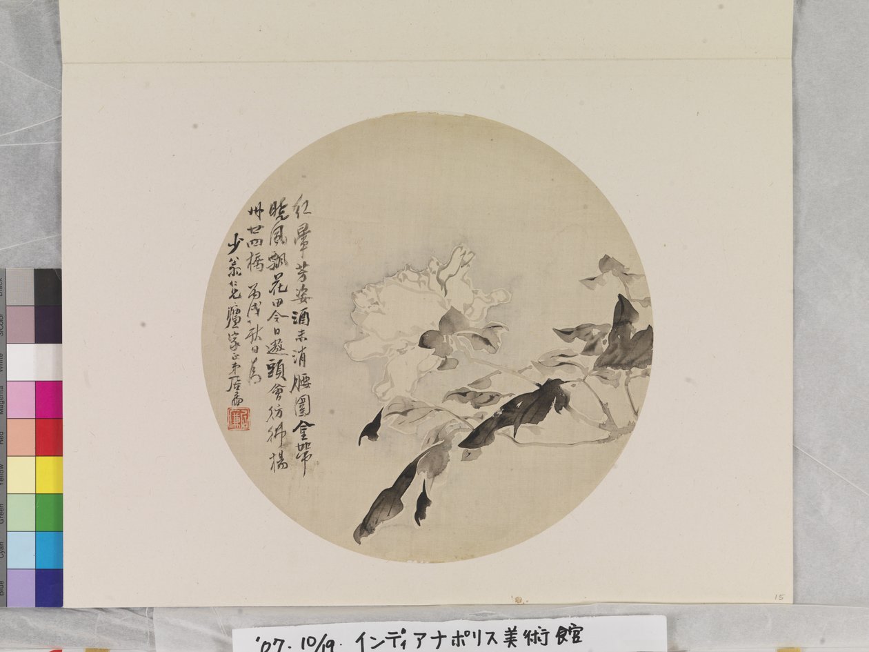 白牡丹 作： リアン・ユー