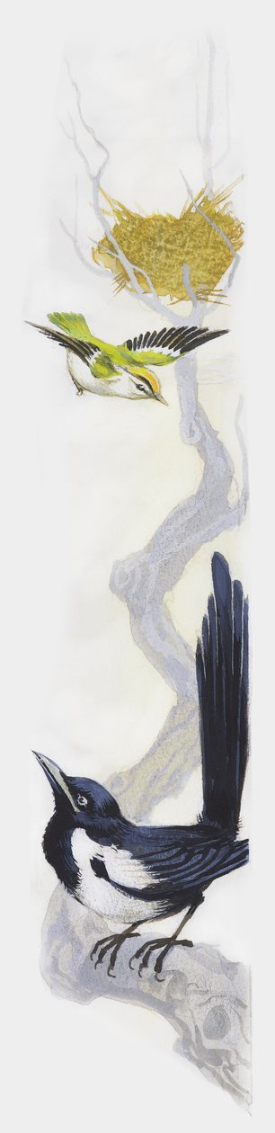 木の上で巣作りをする鳥と、それを下の枝から見守るカササギ（ドローイング 作： 不明不明