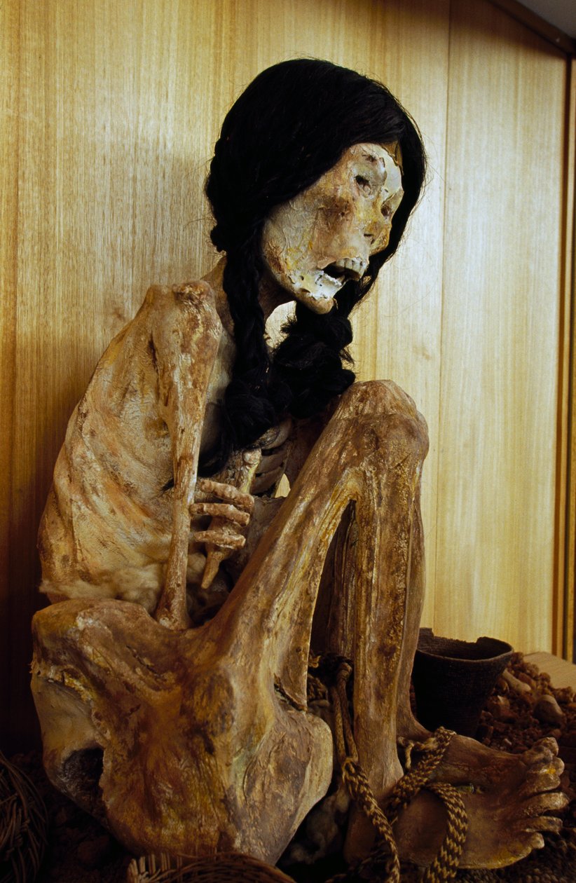 チリのサン・ペドロ・デ・アタカマから出土した「ミス・チリ」と呼ばれるミイラ（紀元前500年 作： 不明不明