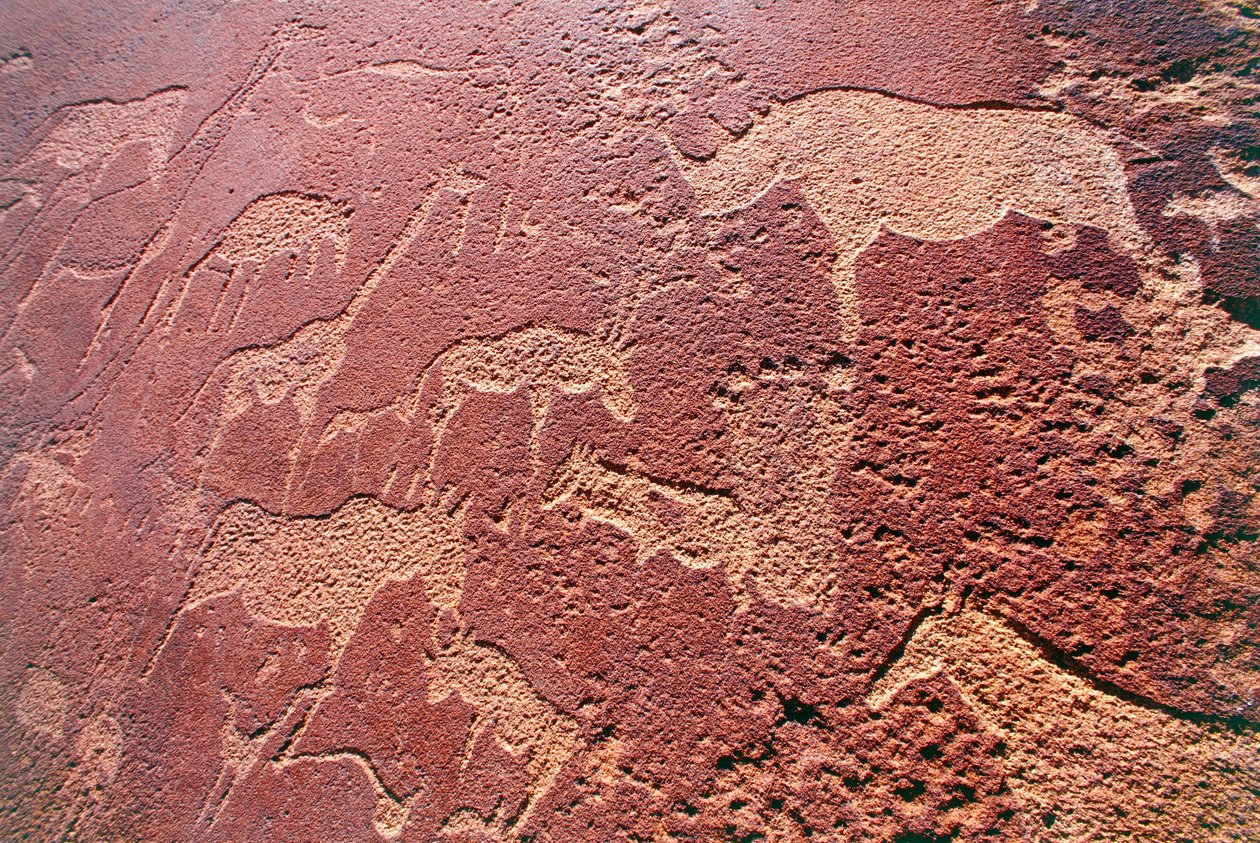 Namibia, Damaraland Wilderness Area, Twyfelfontein, Brandberg Mountains, Stone Age Rock Engraving 作： 不明不明