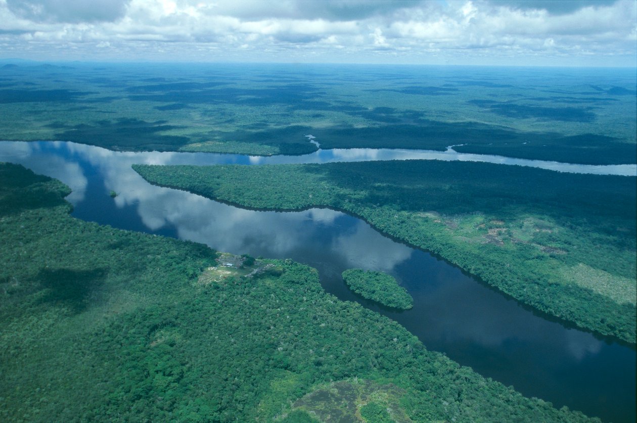 ベネズエラ、グアヤナ州、アマゾナス州、オリノコ川、航空写真
(写真) 作： 不明不明