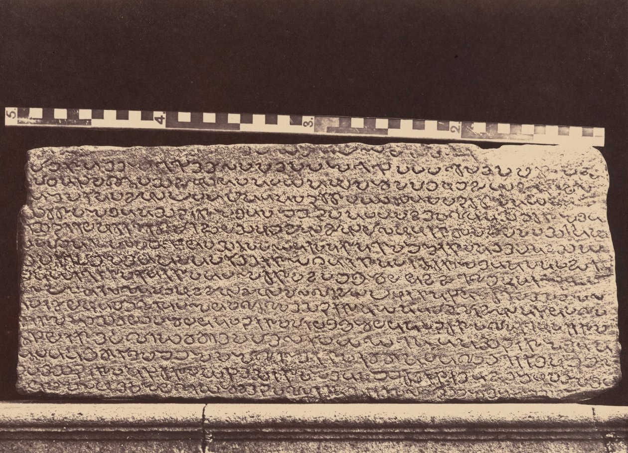 エリオット大理石、1859年（写真） 作： リンネ・トライプ