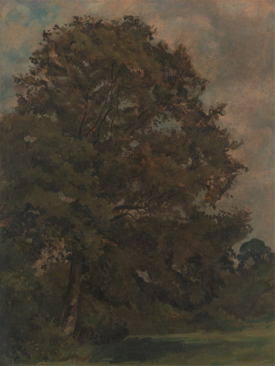 Study of an Ash Tree   1433342   ja       japanese Successfully Translated  Original: Prince Rupert Translat: Prince Rupert 1436355 ja japanese Successfully Translated Original: Emma Hamilton Translat: Emma Hamilton 1461150 ja japanese Successfully Transla 作： ライオネル・コンスタブル