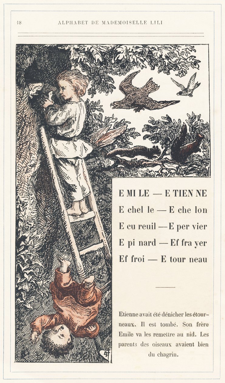 Emile, Etienne, Echelle, Echelon, Squirrel, Sparrow, Epinard, Scarer, Farry, Stourneau, page 18 - Mademoiselle Liliによるアルファベット、L. Froelichによるアルファベット、お父さん（Hetzel自身）によるアルファベット。J. Hetzel  Cie, パリの図書館と教育・娯楽雑誌。 作： ローレンツ・フレーリッヒ