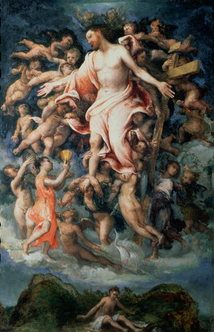 天使のキリストの傷からの血の収集、1543年（パネル） 作： ロレンツォロト
