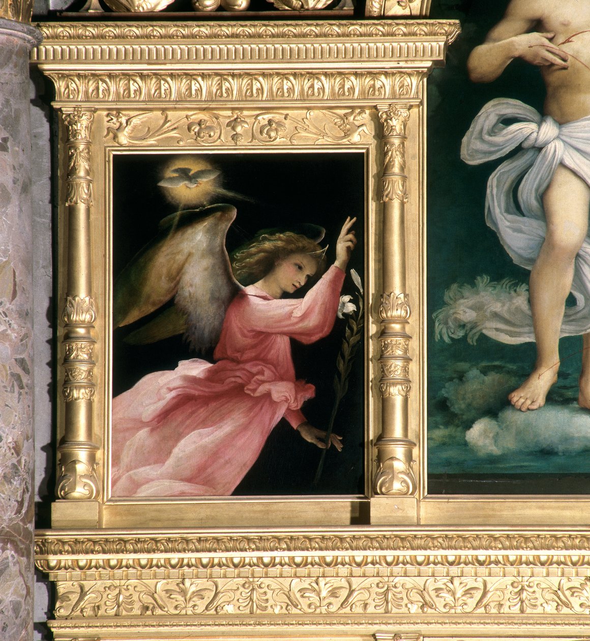 受胎告知の天使、サンジョヴァンニバティスタのポリプティックからの詳細、1525年 作： ロレンツォロト
