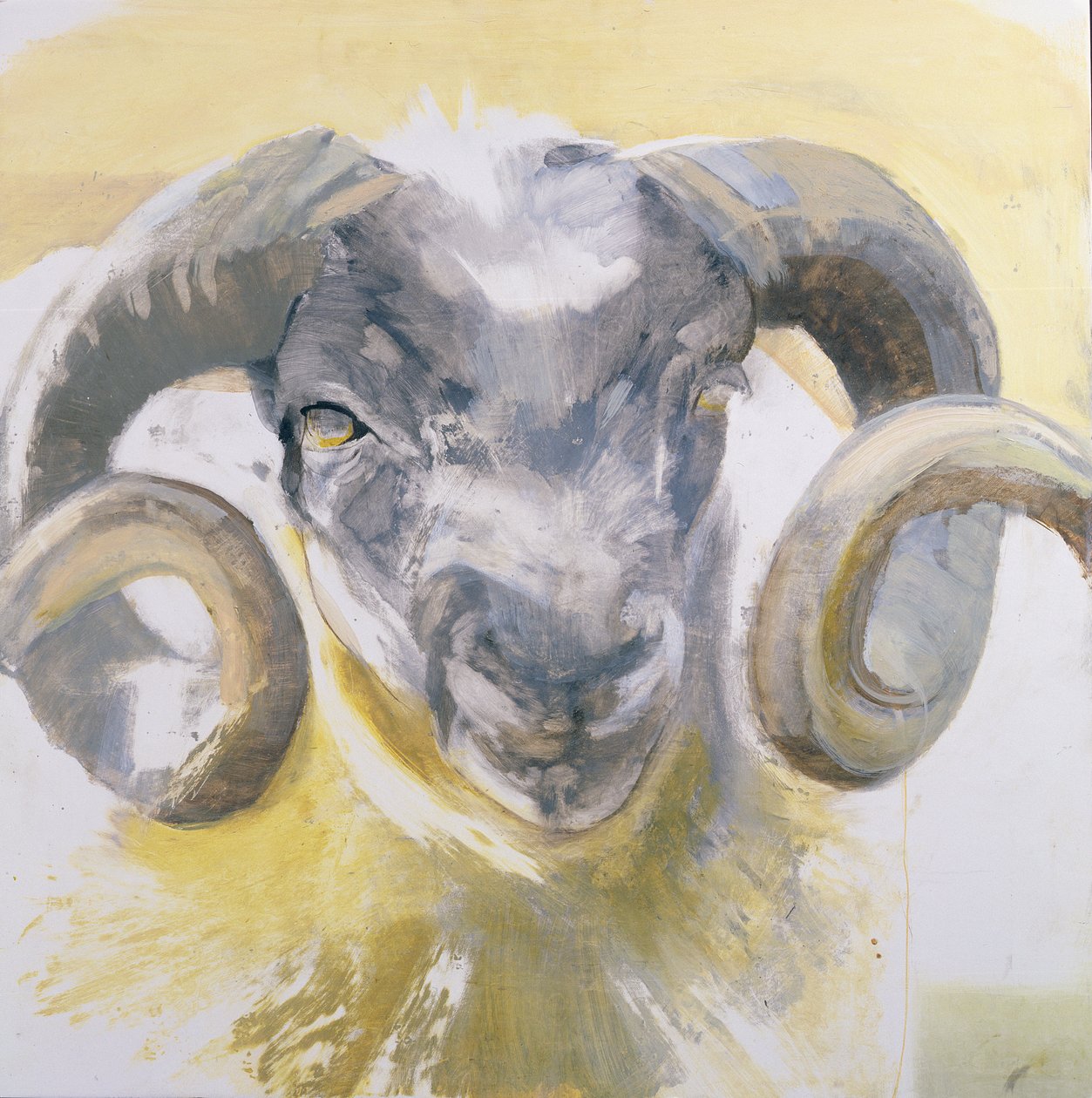 Long Horn Sheep（ジェッソパネルのミクストメディア） 作： ルー・ギブス
