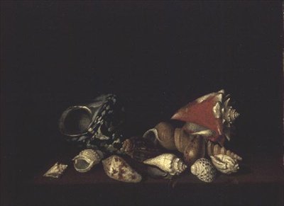 棚上のシェルの静物 作： ルイス・ハブナー