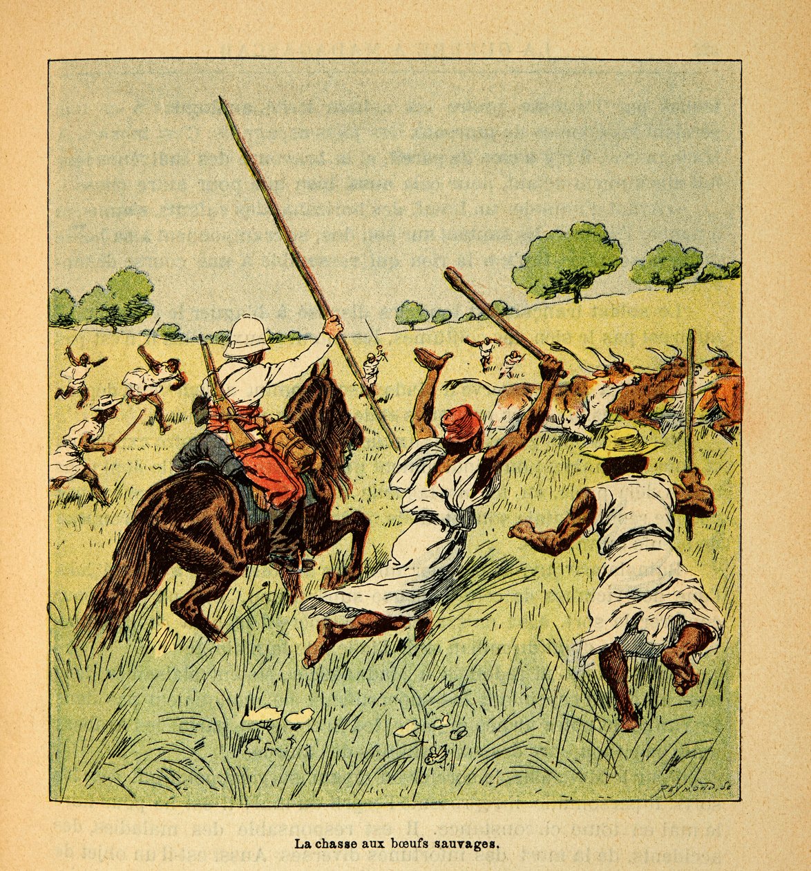 Henri Galli dit Galllichet (1854-1922)著、Louis Bombled (1862-1927)絵による「マダガスカルの戦争-1885-1895年のフランス遠征の逸話史」。1895年のマダガスカルでの野牛の狩猟、個人蔵 作： ルイ・チャールズ・ボンブル