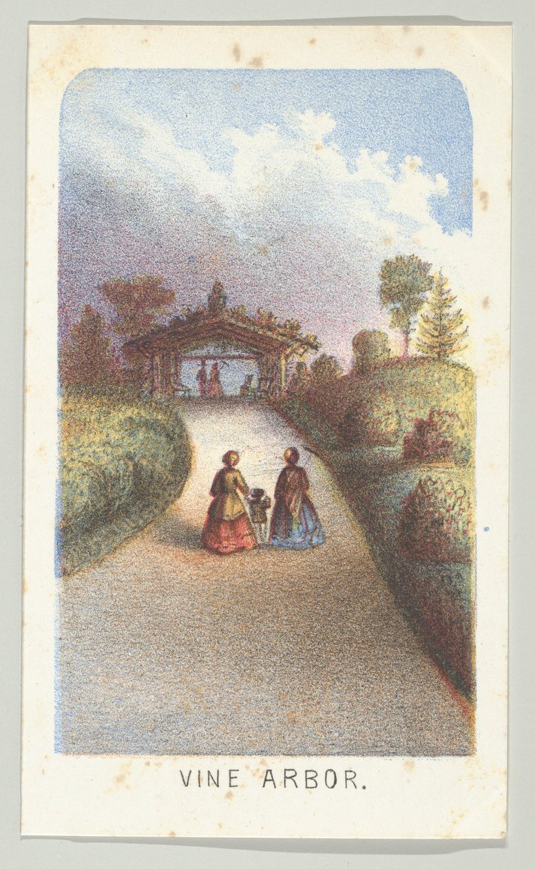 Vine Arbor（シリーズ「Views in Central Park, New York, Part 3」より、1864年）。 作： ルイ・プラン