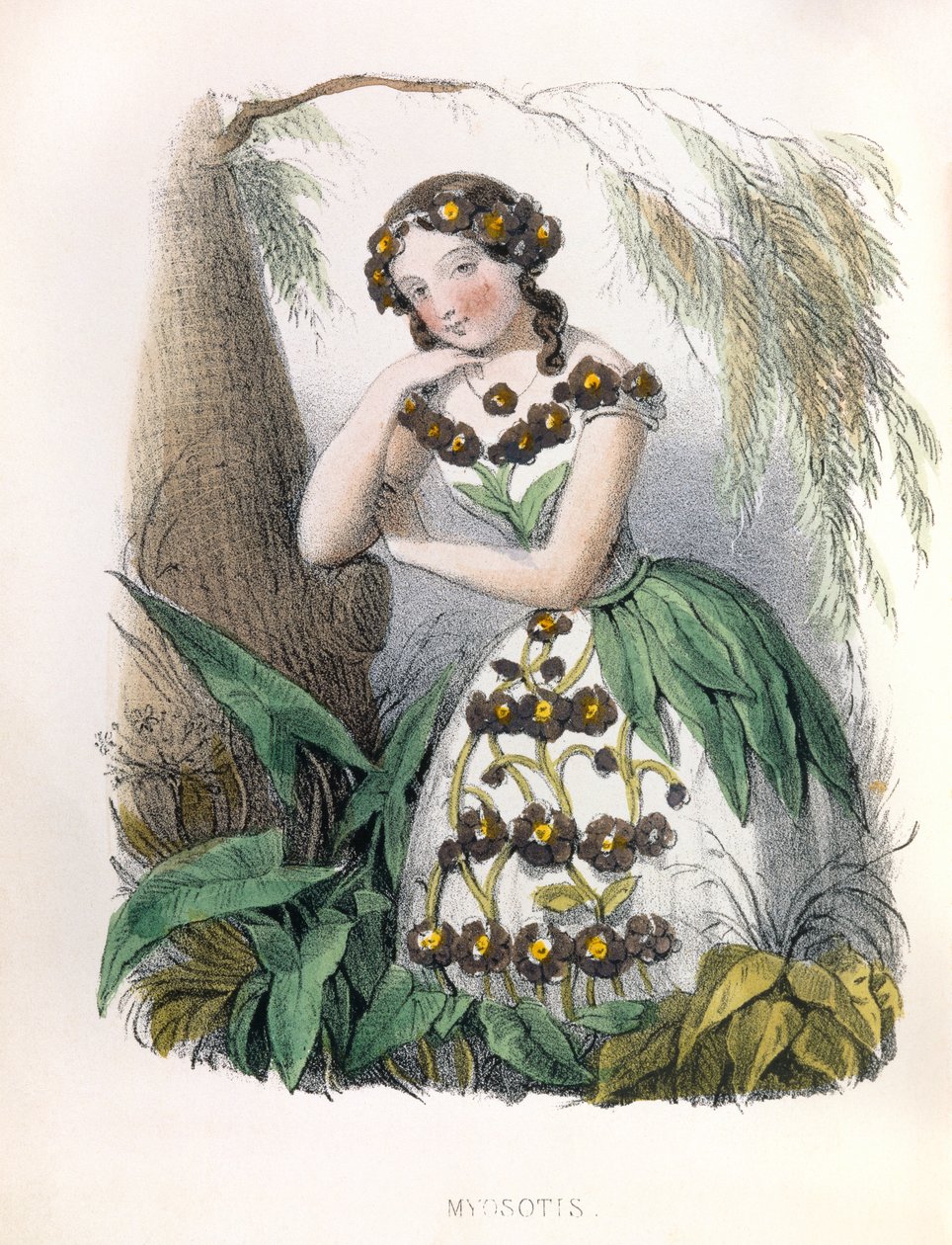 アレゴリー、ミオソティス 作： ルイ・シモン (1810-1870) ラサール