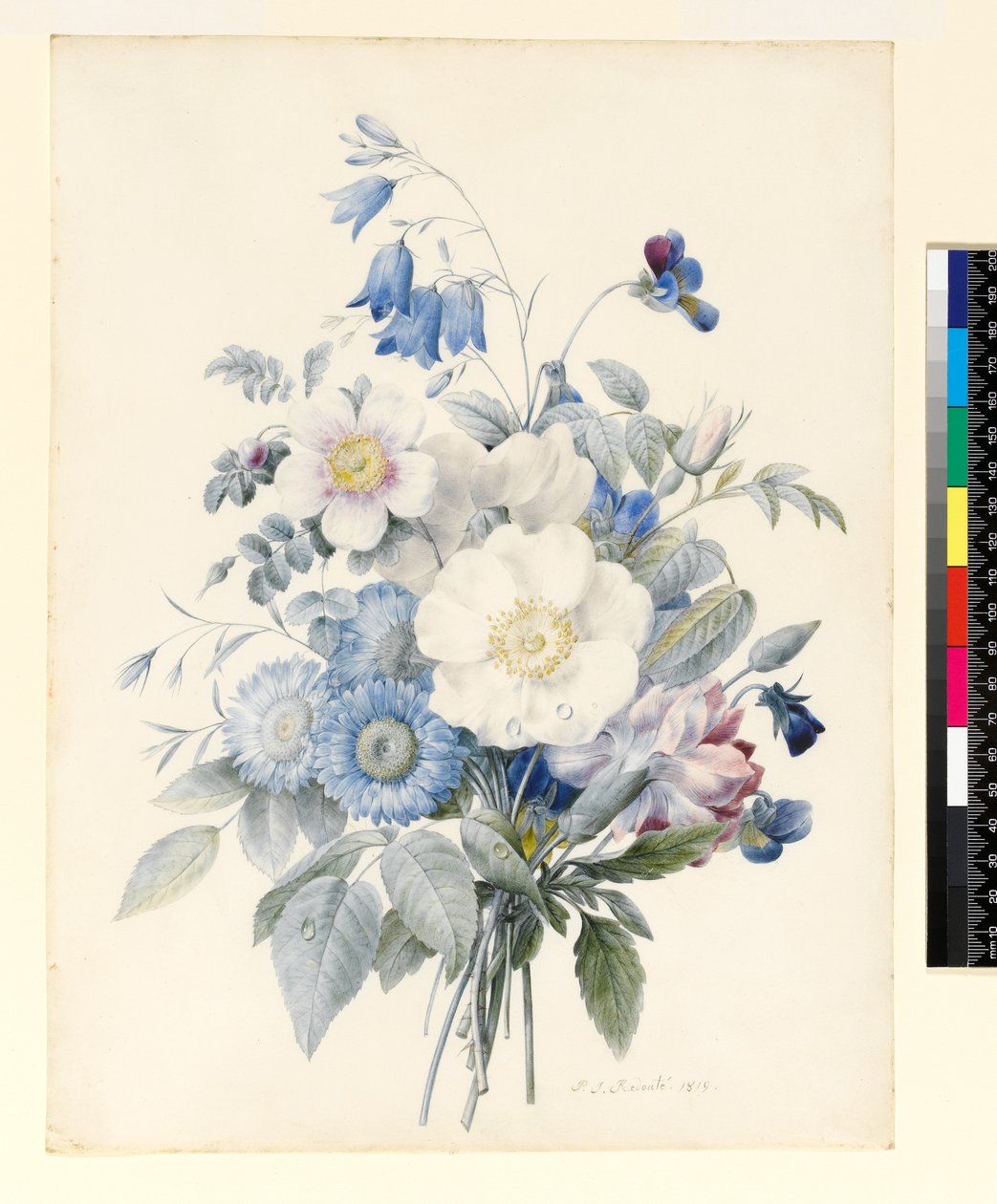 PD.847-1973 A Spray of Summer Flowers、1820（ヴェラムのトイレとガッシュ） 作： ルイーズ・ドルリアン
