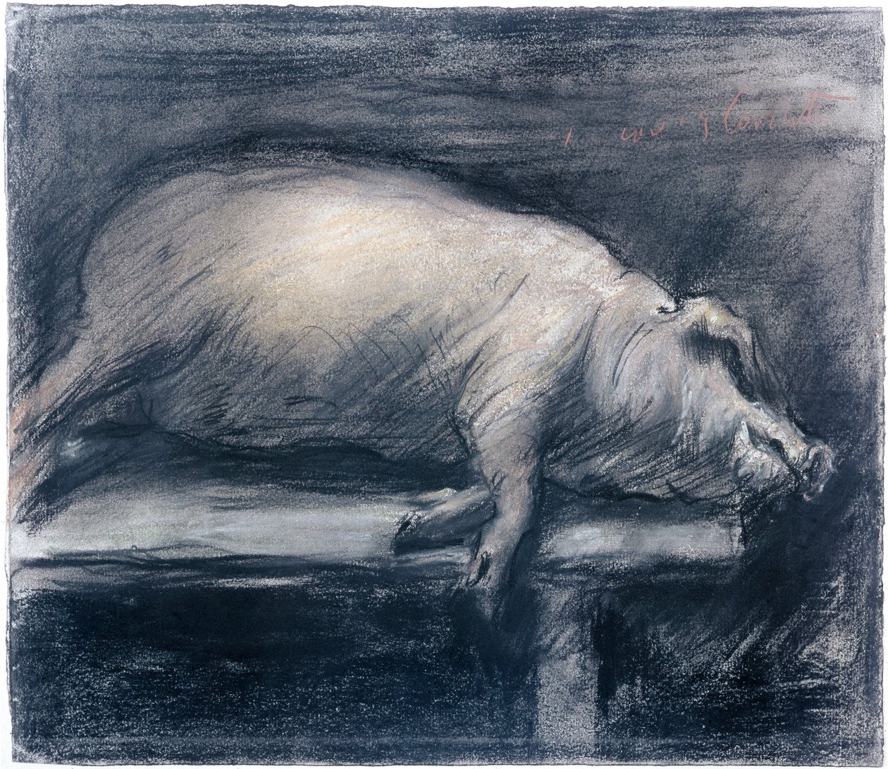 屠殺された豚」ロヴィス・コリンス（1858-1925）のドローイング