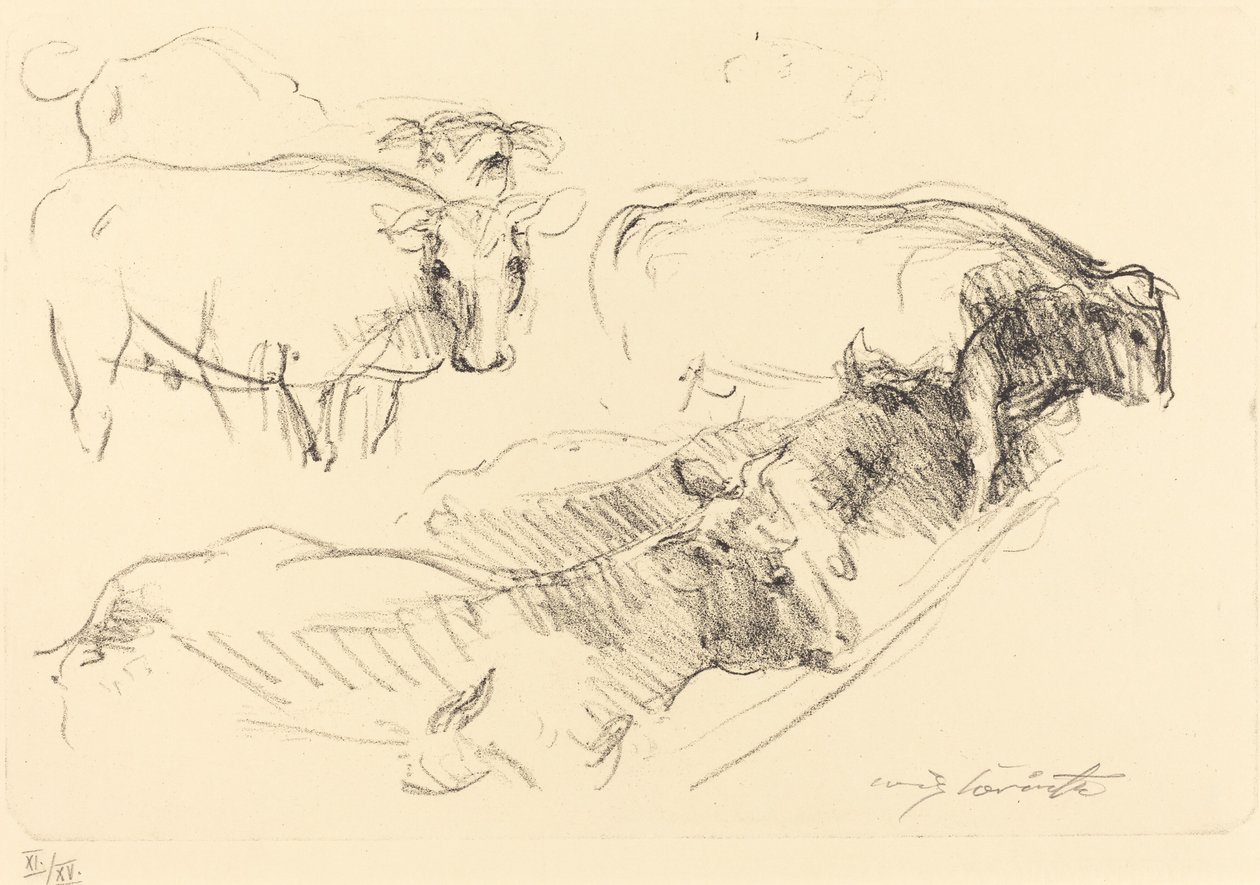 Cows Cows、1910年。 作： ロヴィス・コリント