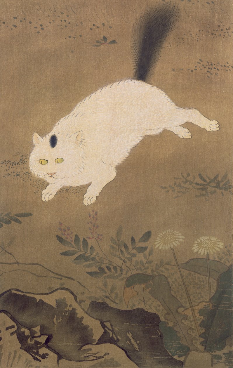 白猫、 『コッカ』誌のイラスト、日本で発行、1896-7 作： ルー・ジ