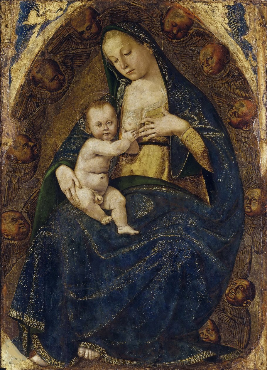 看護マドンナ、c。 1482-1485。 作： ルカ・シニョレッリ