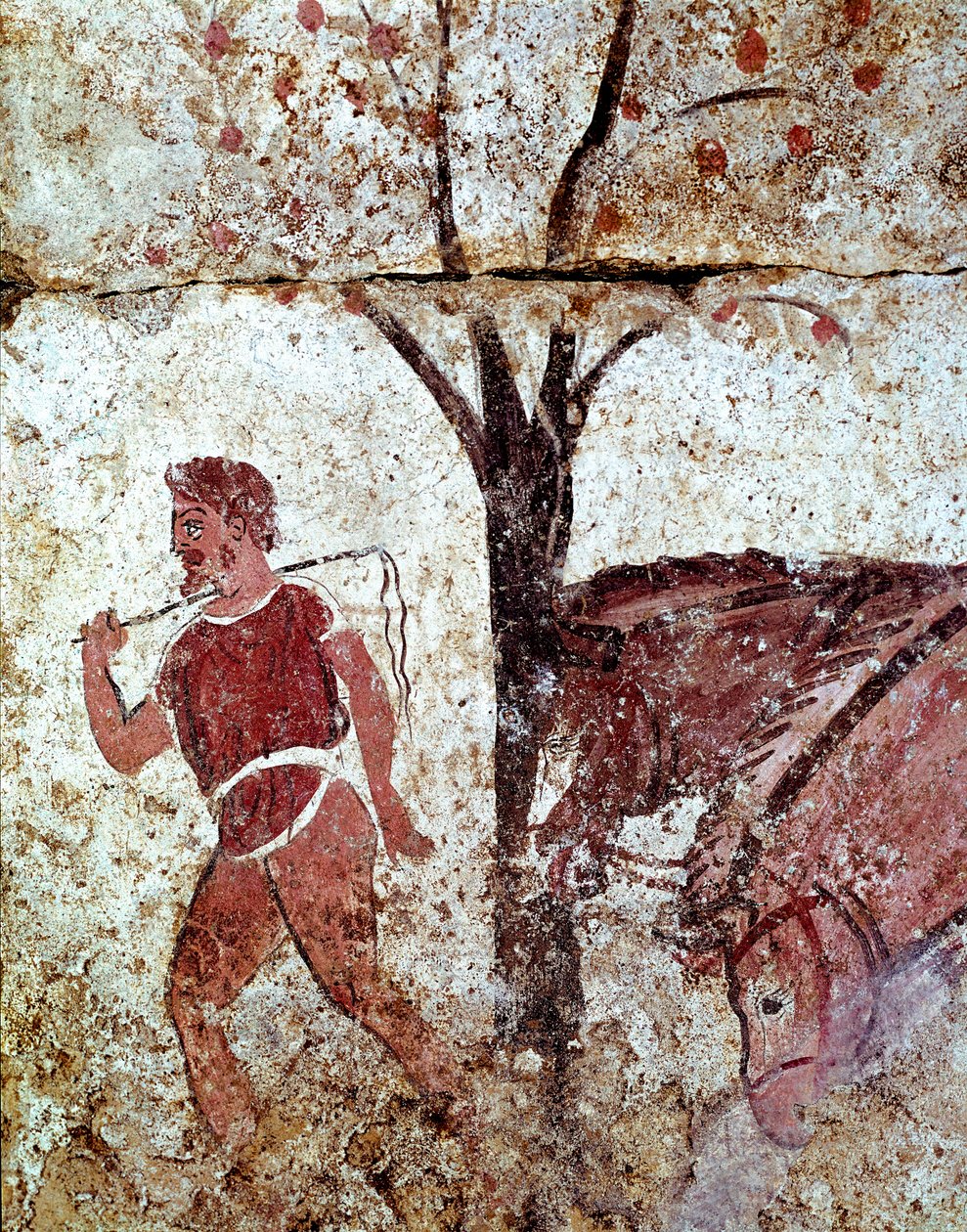 二頭の馬を引く農民 イタリア、パエストゥムのネクロポリスから出土した紀元前4世紀のルカ人のフレスコ画。パエストゥム国立考古学博物館蔵 作： ルカニアの学校