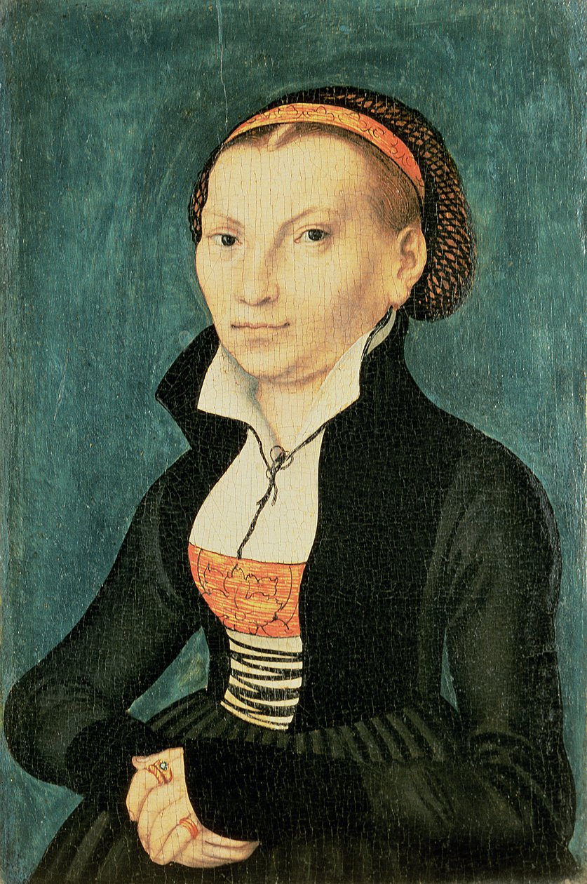 カタリナフォンボラ、マーティンルターの未来の妻、1526年（油） 作： ルーカス・クラナッハ・ザ・エルダー