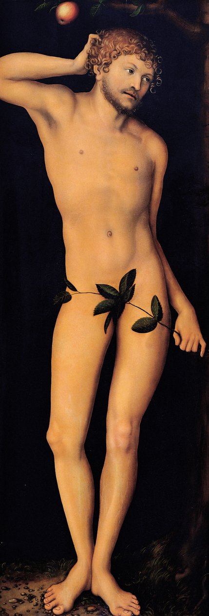 アダム、1528年。 作： ルーカス・クラナッハ・ザ・エルダー
