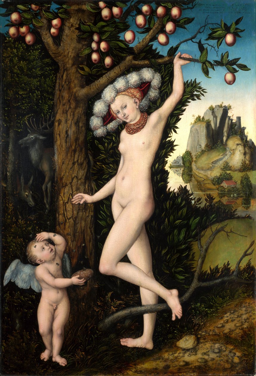 ドイツ語：Amor beklagt sich bei Venus ヴィーナスに文句を言うキューピッド 作： ルーカス・クラナッハ・ザ・エルダー