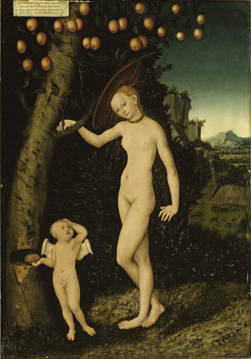 ドイツ語：Venus mit Amor als Honigdieb 蜂蜜泥棒のヴィーナスとキューピッド 作： ルーカス・クラナッハ・ザ・エルダー