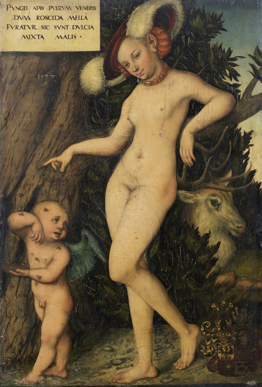 ドイツ語：Venus mit Amor als Honigdieb キューピッドと蜜を盗むヴィーナス 作： ルーカス・クラナッハ・ザ・エルダー