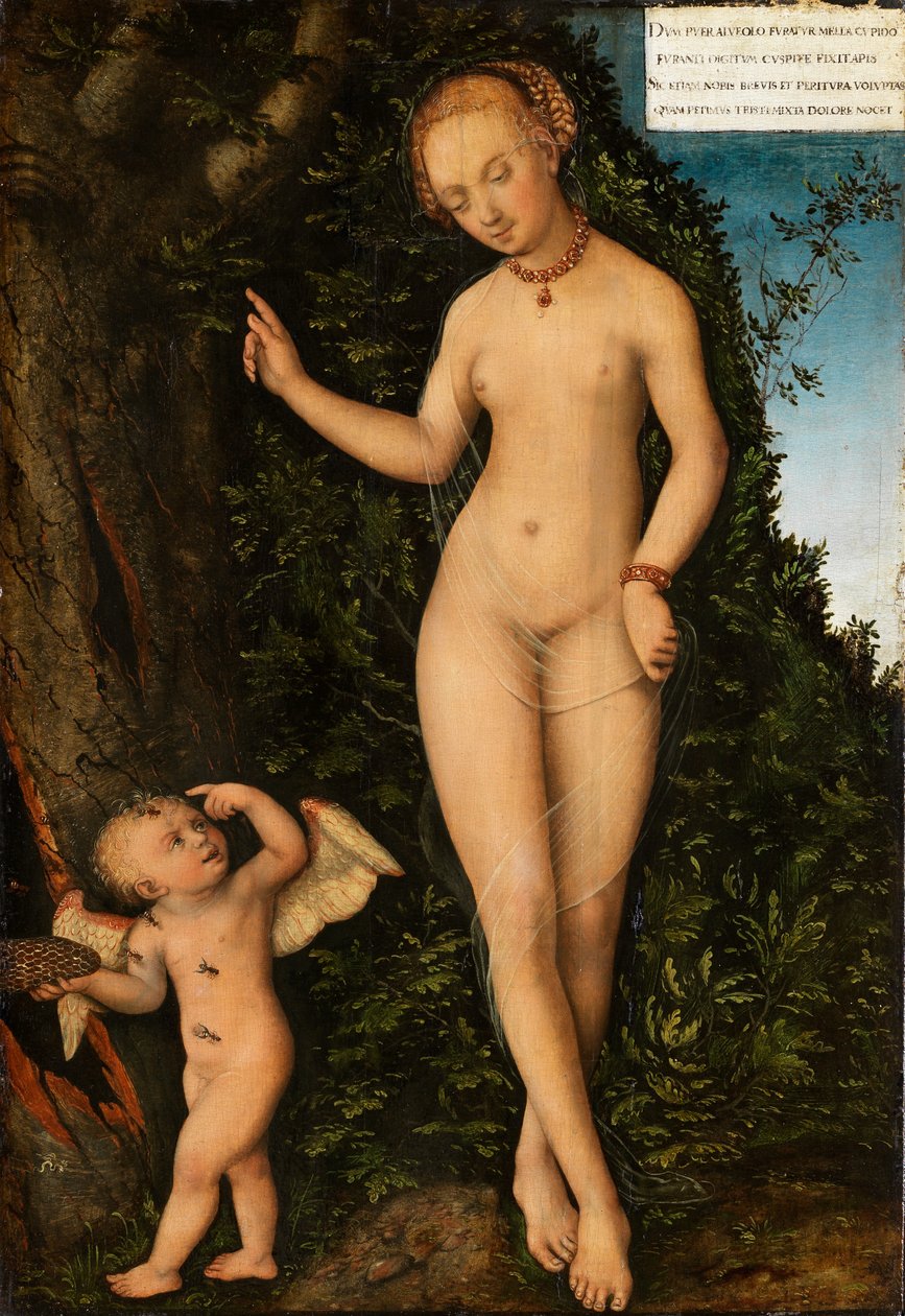 ドイツ語：Venus mit Amor als Honigdieb 蜂蜜泥棒キューピッドとヴィーナス 作： ルーカス・クラナッハ・ザ・エルダー
