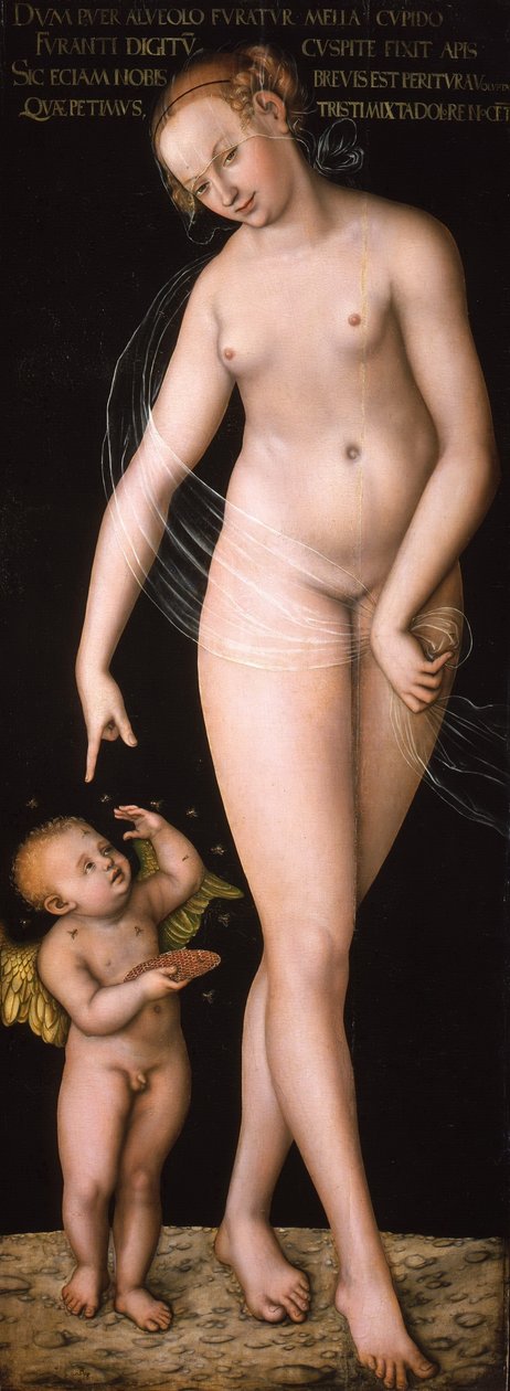 ドイツ語：Venus und Amor als Honigdieb 蜂蜜を盗むキューピッドとヴィーナス 作： ルーカス・クラナッハ・ザ・エルダー