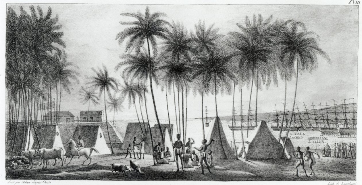 G.ラングリューム（fl.1822-40）1822によって刻まれた「世界の航海ピトレスク」からのサンドイッチ諸島のハナロウの港 作： ルートヴィヒ・チョリス