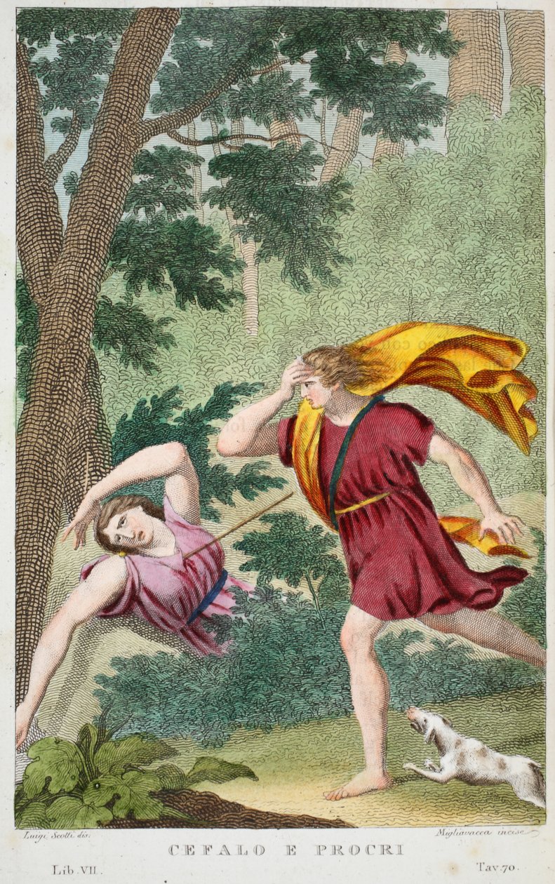 Cephalus and ProcrisまたはCefalo e Procri、Book VII、Ovid&39;s Metamorphosesのイラスト、フィレンツェ、1832年（手描きの彫刻） 作： ルイージアデモロ