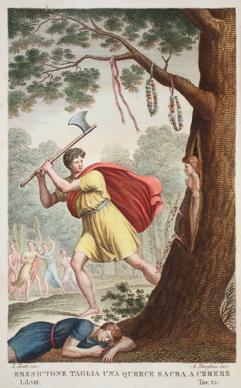 ErysichthonのプライドまたはEresictone Taglia una Querce sacra a Cerere、Book VIII、Ovid&39;s Metamorphosesのイラスト、フィレンツェ、1832年（手描きの彫刻） 作： ルイージアデモロ