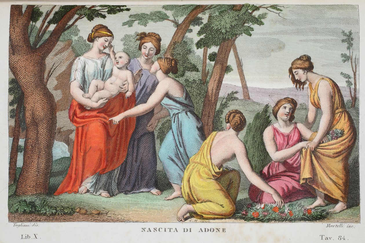 アドニスまたはナシータディアドーネの誕生、ブックX、Ovid&39;s Metamorphosesからのイラスト、フィレンツェ、1832年（手描きの彫刻） 作： ルイージアデモロ