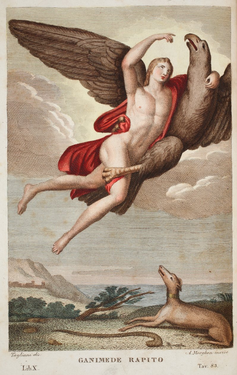 天国またはガニメード・ラピートに持ち込まれたガニメデ、Book X、Ovid&39;s Metamorphoses、フィレンツェ、1832年のイラスト（手彩色の彫刻） 作： ルイージアデモロ