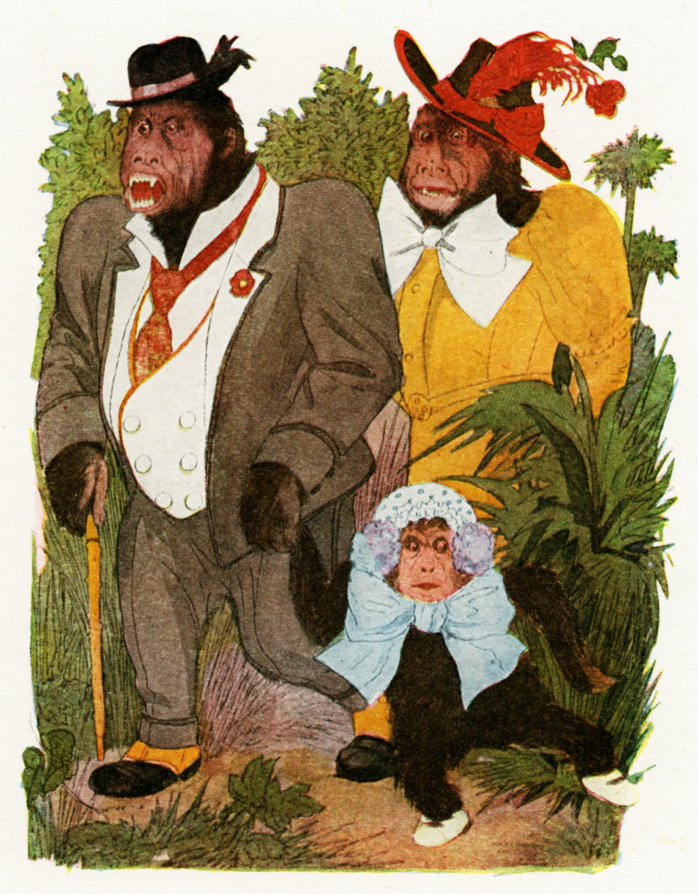 「赤ちゃんゴリラ」、1913 作： マーティン・ロス
