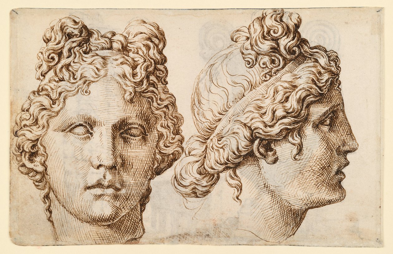 古代の頭部の二つの見方 作： マールテン・ファン・ヘームスケルク