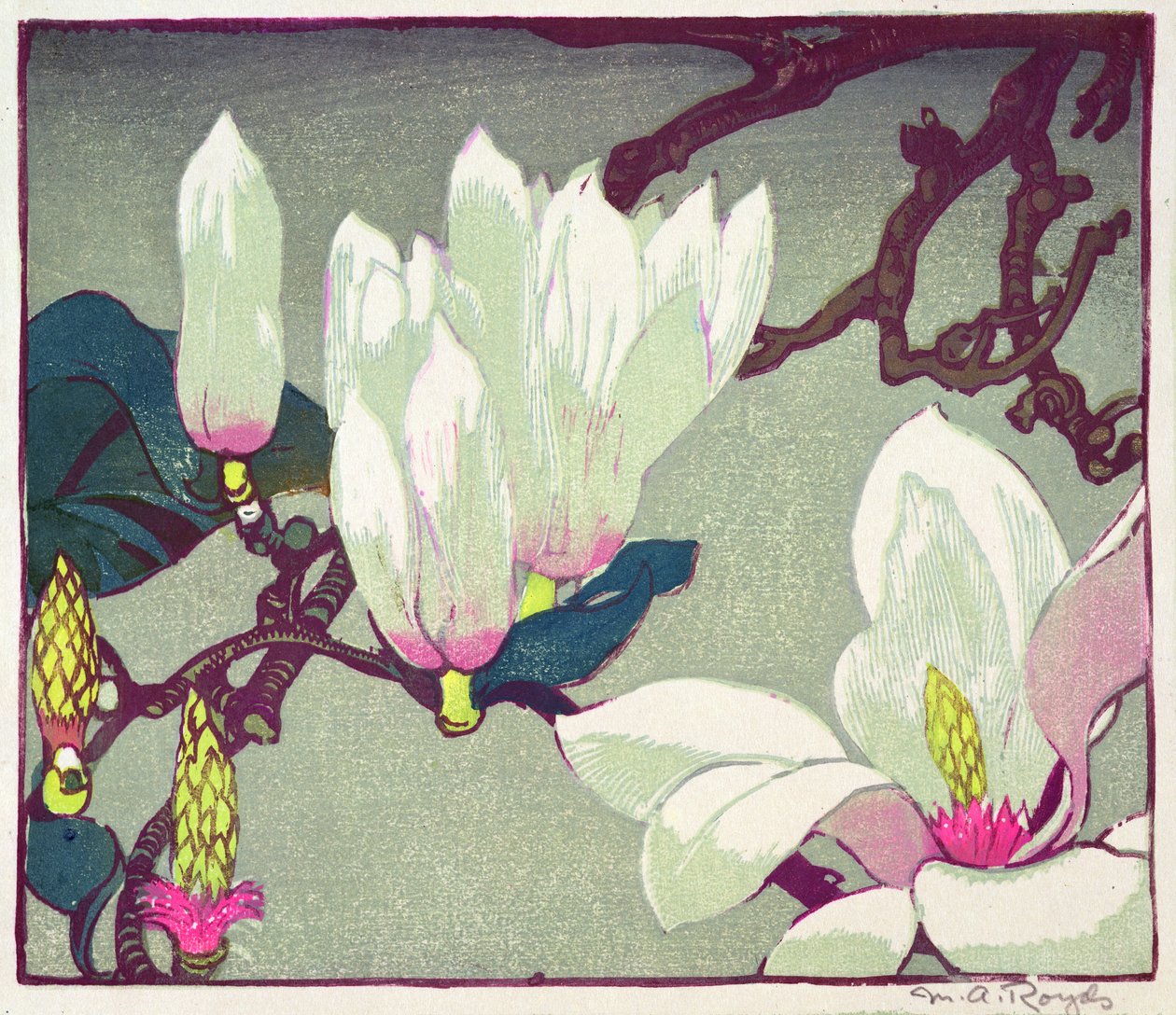 マグノリア、1925年頃（木版画） 作： メイベル・ロイズ