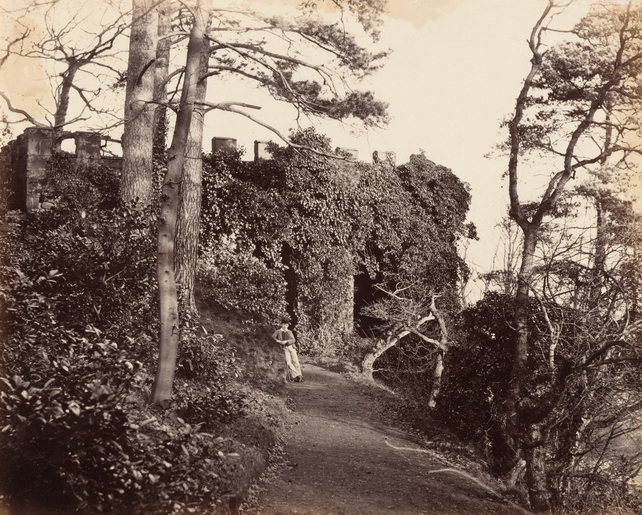 1860年代、セヴァンのウィンターダインにて（写真） 作： フランシス・グレズリー少佐