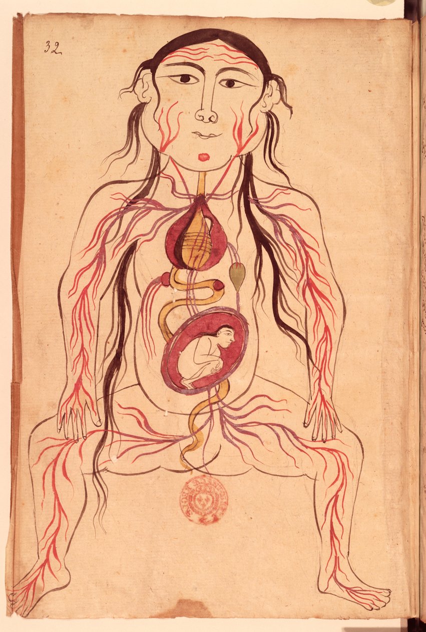 Ms Persan 151 Fol.32女性と胎児の解剖図 作： マンスールb。エリヤ・チラジ