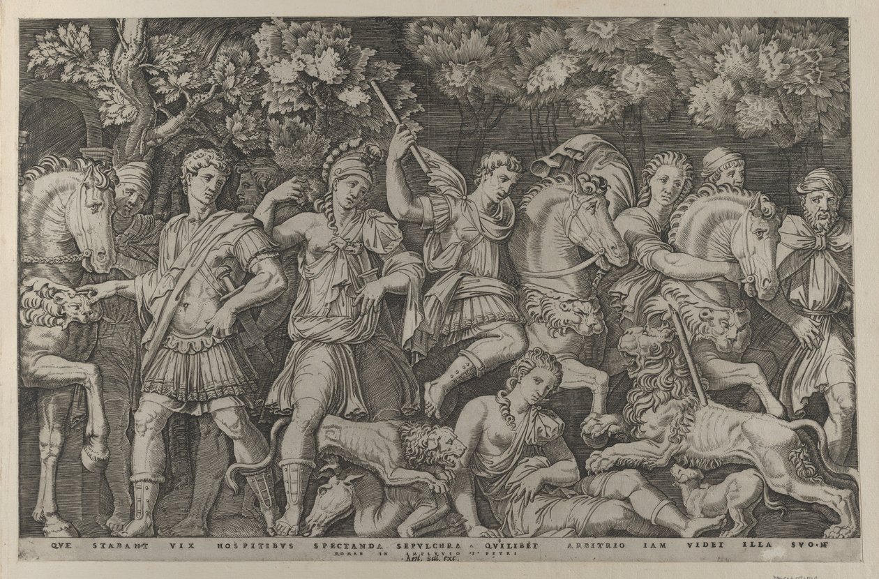 Speculum Romanae Magnificentiae: The Lion Hunt, ca. 1500-1534. 作： マルカントニオ・ライモンディ